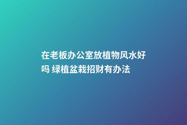 在老板办公室放植物风水好吗 绿植盆栽招财有办法